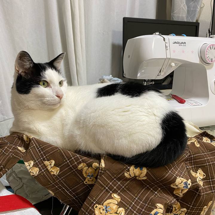 6cbe7a30 769c 47f4 84ac b4baa6899558 1690032264729