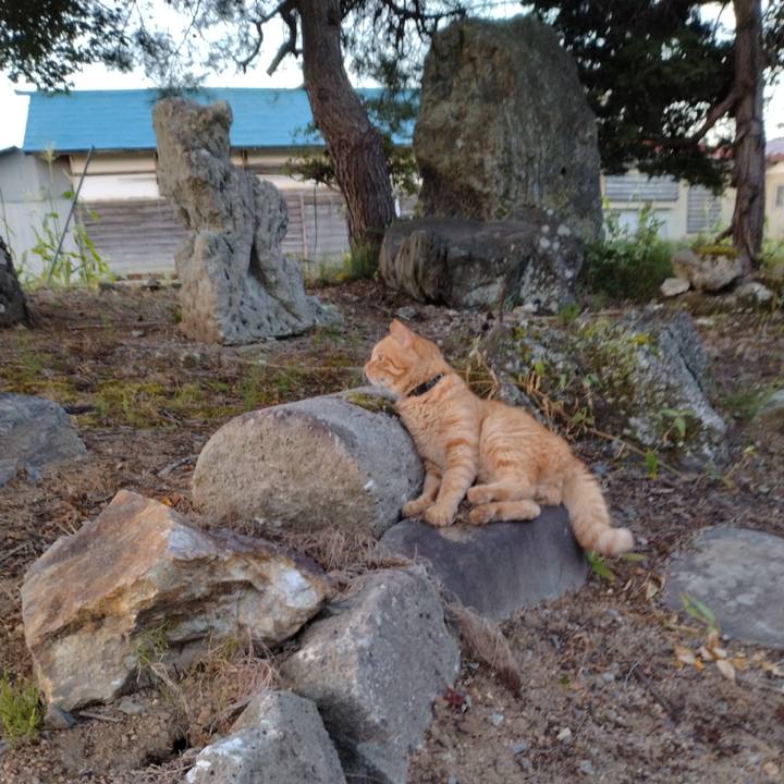 6cbea309 79a2 4261 a125 476ceb711601 1692048287520