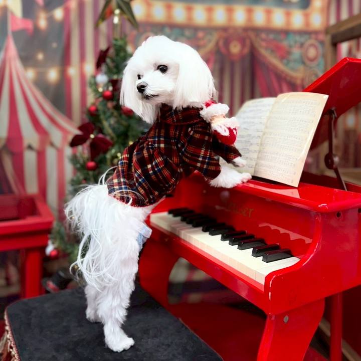 6cbea6ec 4bb1 4380 b2ca d2a5681c8052 1766115806024