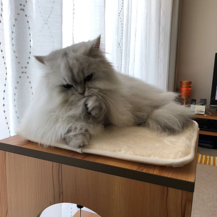 6cbeccc4 b2e5 4c51 89e9 4732153ded26 1518918708717