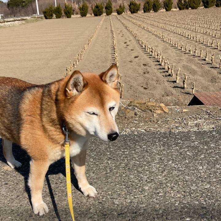 6cbf2377 77ab 4359 86f6 3cf11af4c4a0 1643872157864