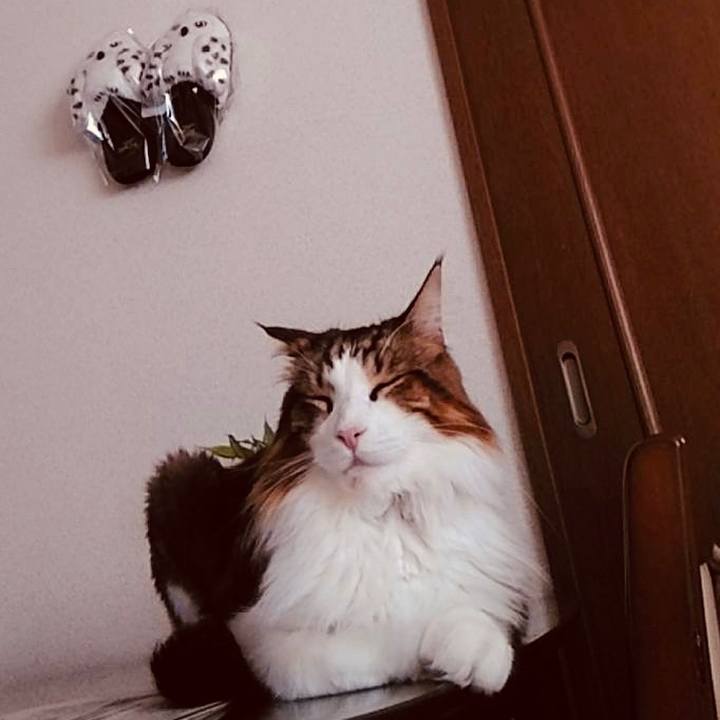 6cbf4c38 8cdf 4298 b99e 0743aef0fe70 1662850715034