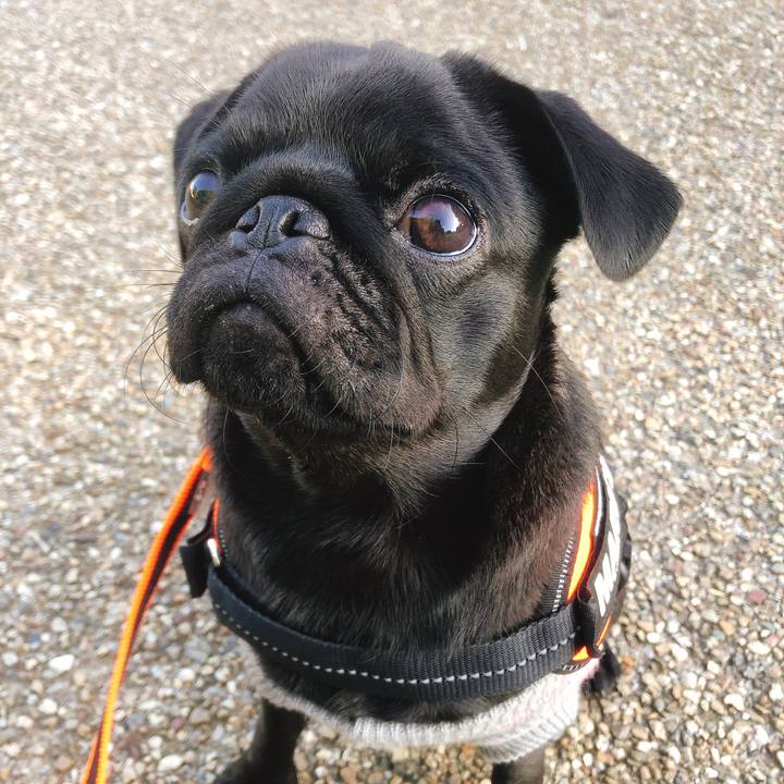 6cbf76a6 db9d 4b9a a258 8de2d77664b5 1601417518885