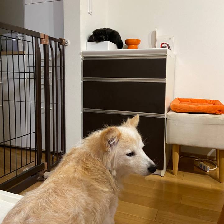 6cbf9a32 b3d6 43f0 a7b8 6775d7144fdd 1650667987484