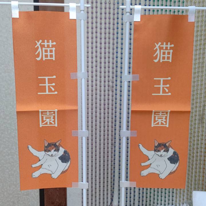 6cbfb11b 3823 476f 9027 af16b2a95ee2 1634381863579