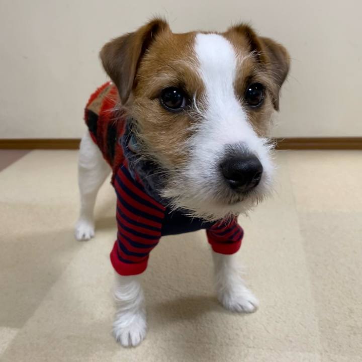 6cbfe1b6 1f6f 4148 9eb3 3853b70b8f03 1671357601149