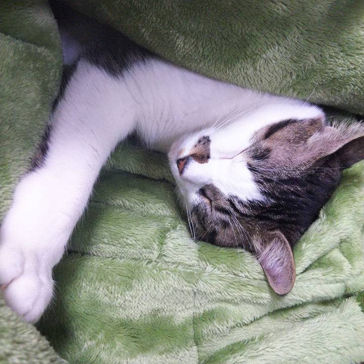 6cc03ae9 99f4 4fb3 b870 ff359962046d 1644147951370