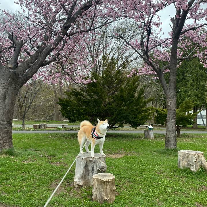 6cc04006 e1f5 46e9 b001 a2ce6a8a3b7c 1714291783065