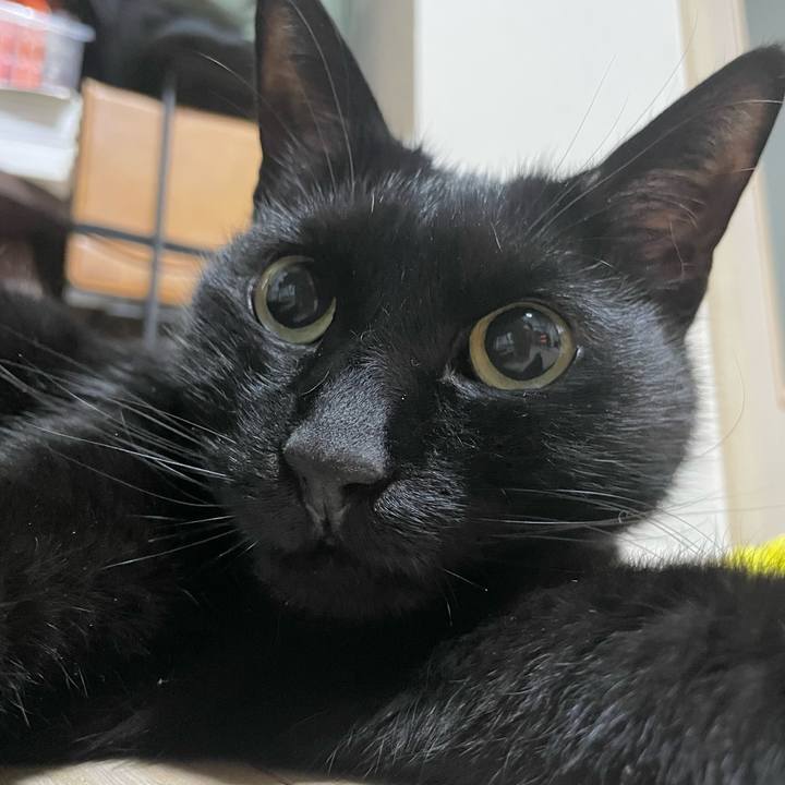 6cc08a98 2c57 4bf4 8e64 e766642366ec 1709385622438