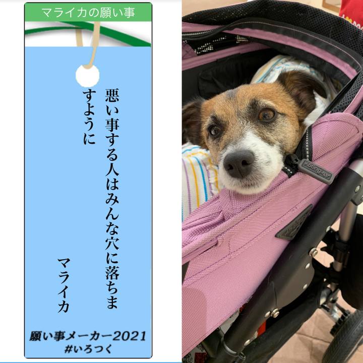 6cc0a20e ecfe 40fd 966e 5c0043ee971b 1625369825909