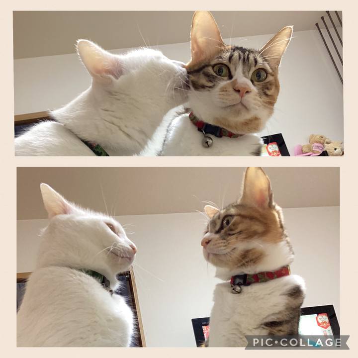 6cc0ac95 94ea 41c7 ac07 48d2e1fad4f8 1669339985279