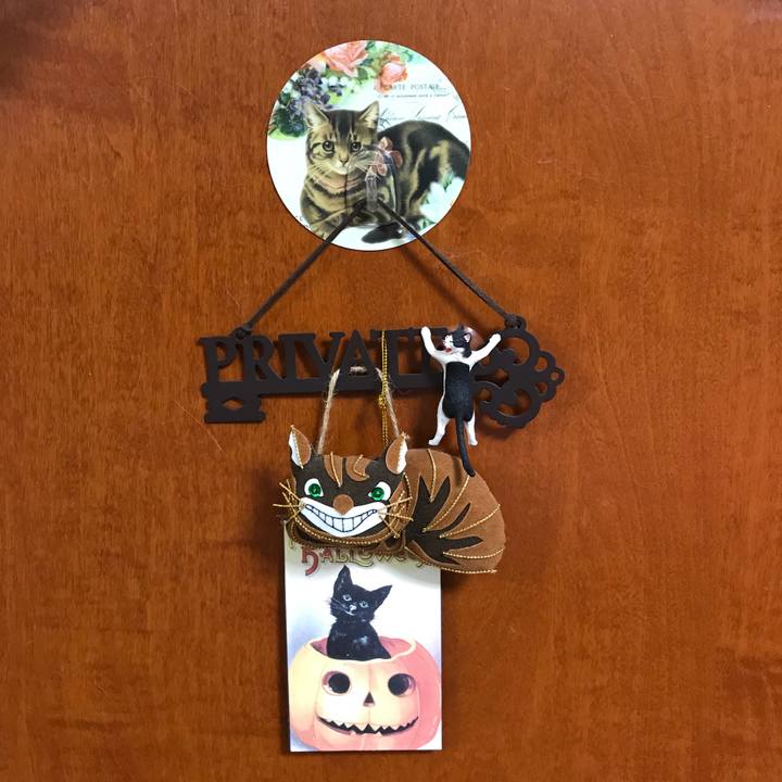 6cc0b338 67ac 4b90 bafb cb22bd158160 1518361150448