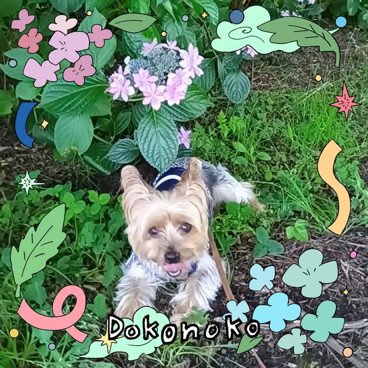 6cc0b3cc 13c0 4803 b111 e9be34324c6d 1718254464805