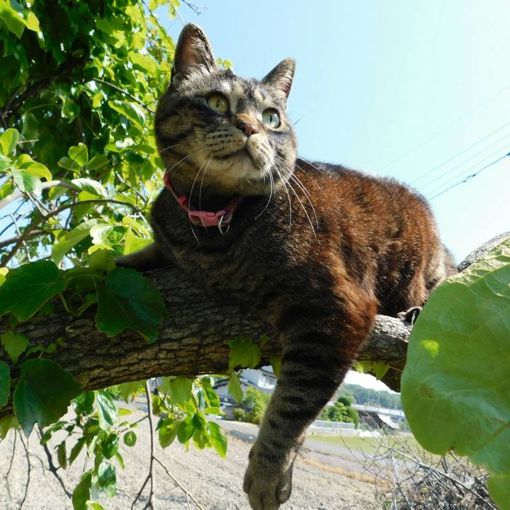 6cc0b9a3 2208 496d a566 8bc4c923fa4c 1558788183936