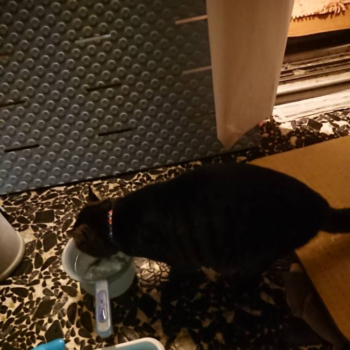 6cc0c387 54ed 43ab 9433 671bebbe61c9 1640863797632