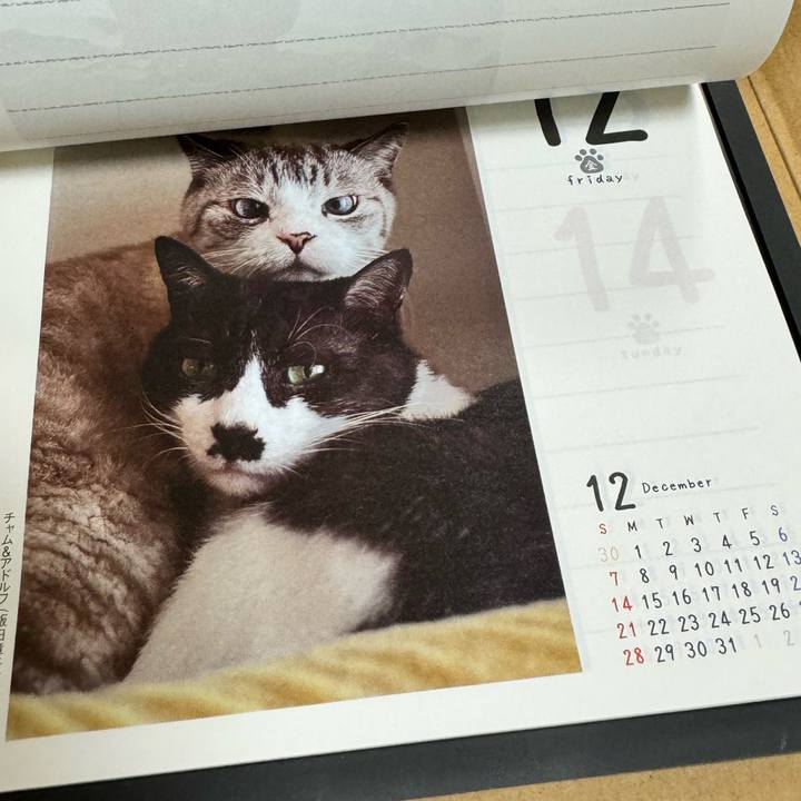 6cc0ca9f 901d 4cb2 ad00 096d29944b44 1727060574885