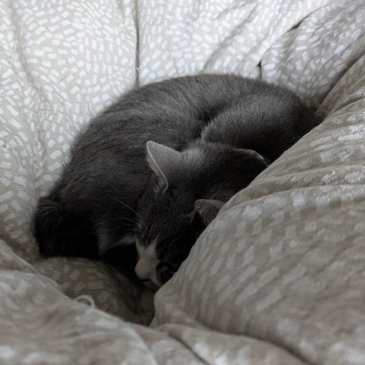 6cc0d59d 1b78 4580 8ed8 1824f0a9cd8e 1764725871194