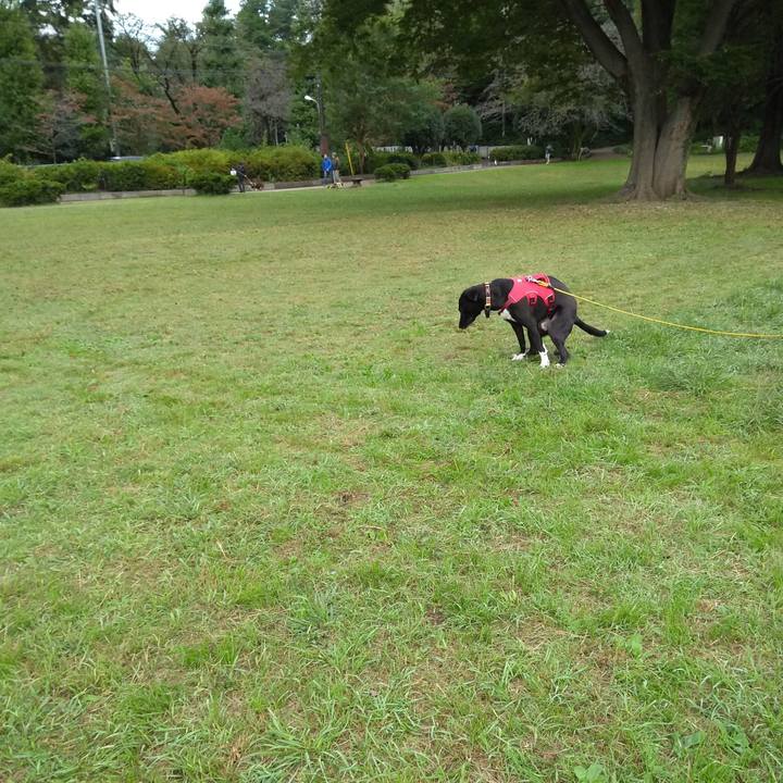 6cc109d3 0719 47d0 b612 622e7c600f93 1603066335242