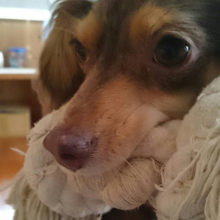 6cc1189c 9901 4bbf a6e5 40f0ace1b3e8 1510373023646