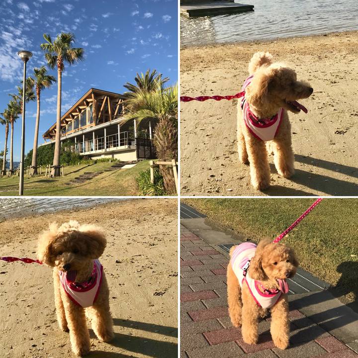 6cc140a3 66ed 405b 8ab4 8915a8020aaf 1538991437557