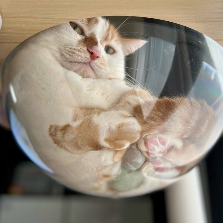 6cc15060 0b93 4434 b26e 2e7824af33e3 1757476210129