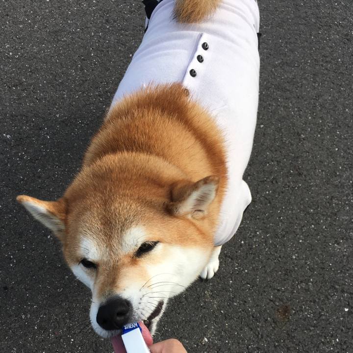 6cc163cc 0d3c 4503 9545 bc1713252767 1539913552666