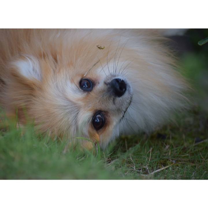 6cc17d51 6025 42ff b780 914ce1ca3acd 1532780517606