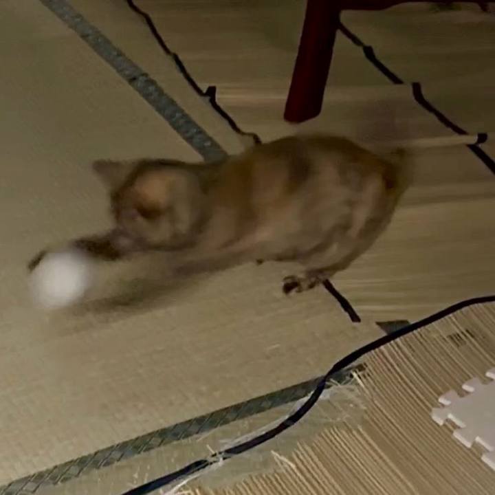 6cc18c15 e13e 4e66 b444 27033812a7f0 1773694968836