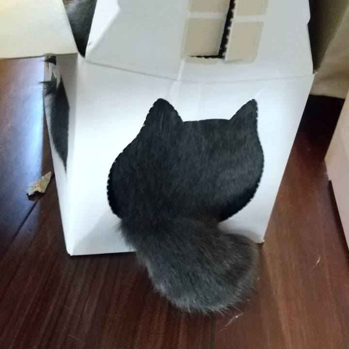 6cc18da3 ac1c 4813 b72e f8002129badb 1599953751997