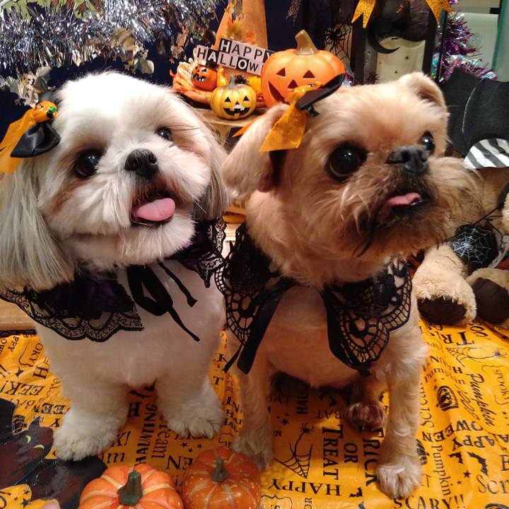 6cc1c705 0d81 4f36 8b85 705a9a7bc1c5 1635637703734