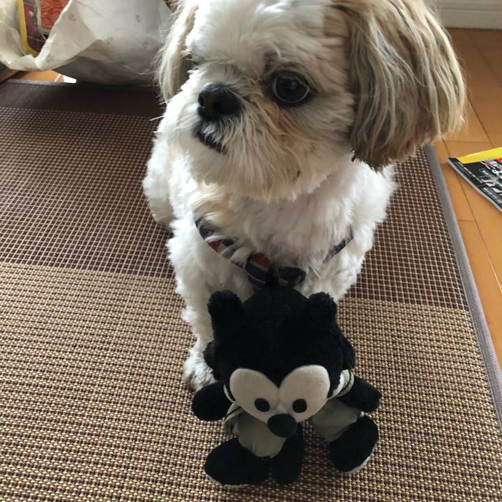 6cc1d1b0 bdd9 4fa5 9c35 64dbc3ad57ac 1526421085712