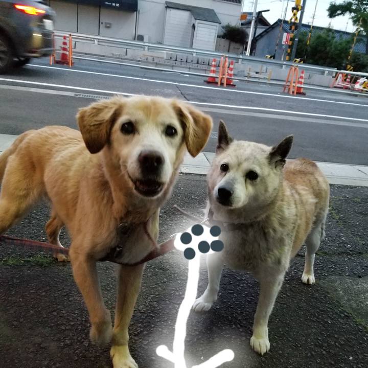 6cc1dea7 45c7 4d0c 9e2a e8ed8d3fc93e 1752757313054