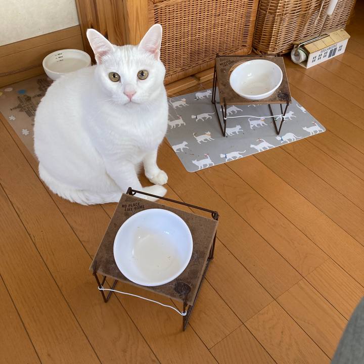 6cc1fd80 810d 47a4 852c 262b9c3ec00d 1666318704677