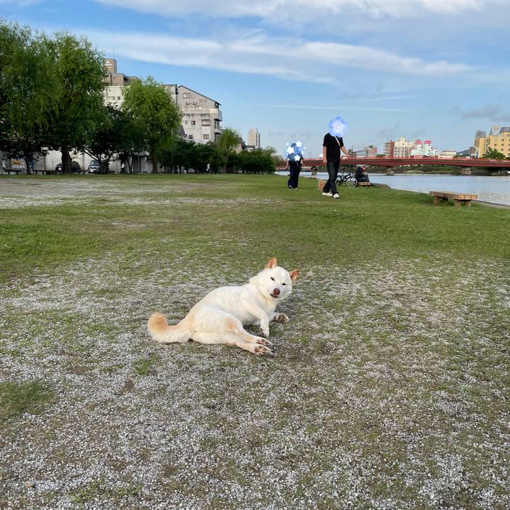 6cc20731 903e 4292 9ac8 426e0bce331f 1652526623840