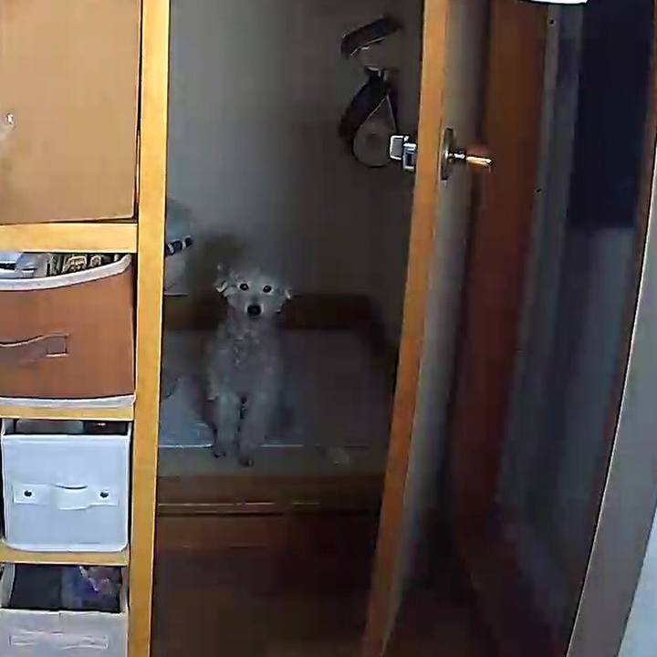 6cc2161f d7e1 4595 9c84 5d638248fac9 1612145539075