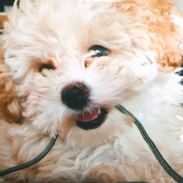 6cc22939 8372 4b3f a8fa d73bce8ee31c 1535801383399