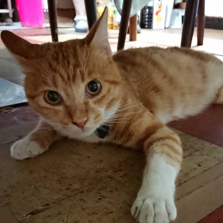 6cc26284 f685 4c89 b6de 5bf245a0098a 1566213987696