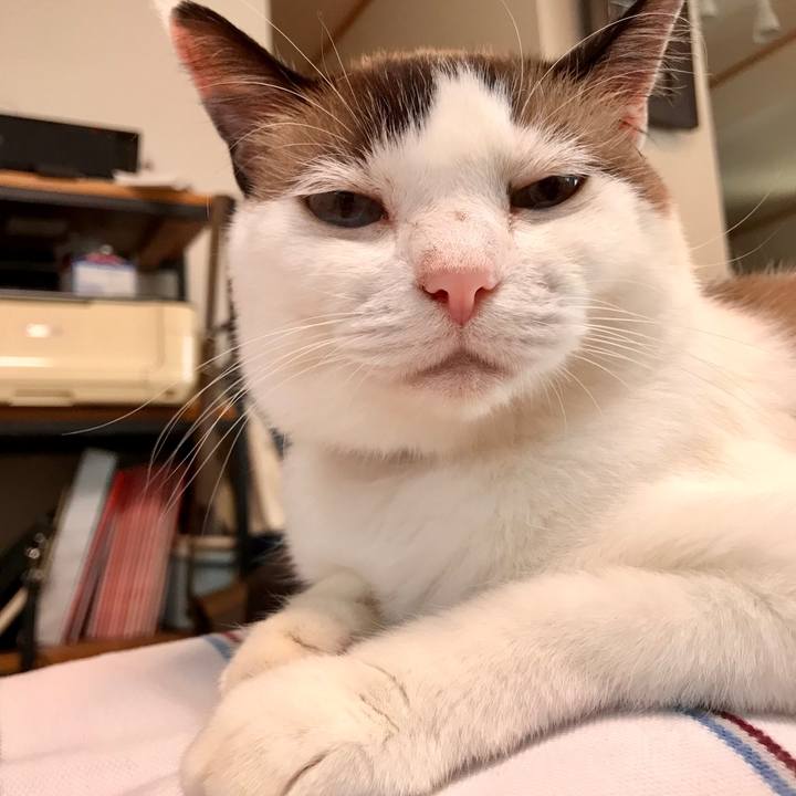 6cc295a2 62c7 4940 9dc7 439b05ff0278 1566038179172