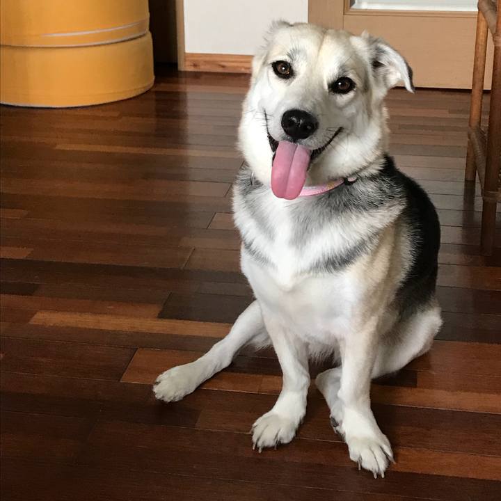 6cc2cc71 c230 42a5 a87f d11ac0cdab9d 1514709736476