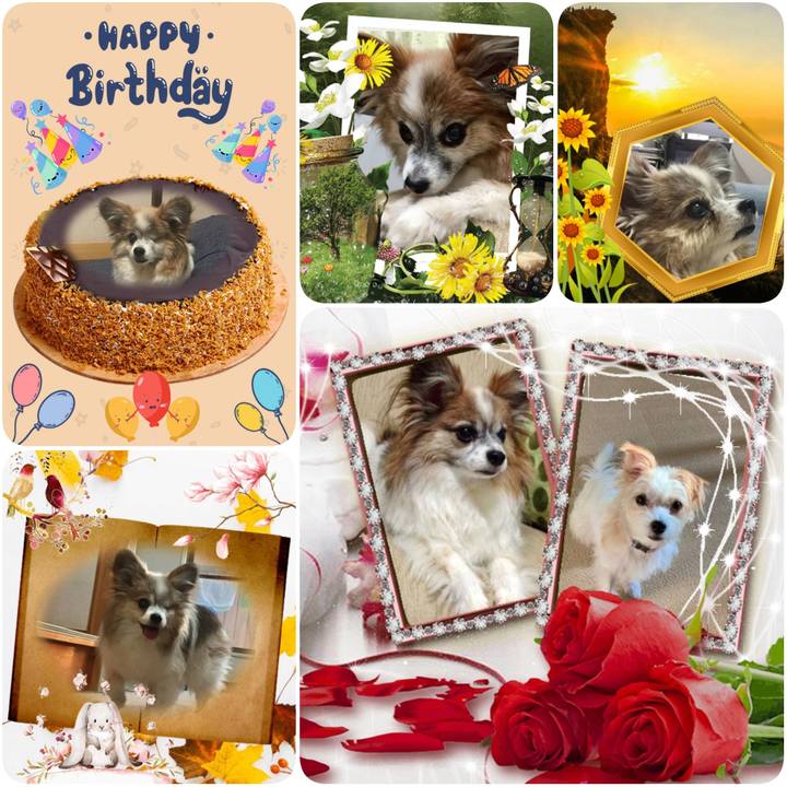 6cc2f490 cf75 4114 b997 1101e8249bcc 1599948819530