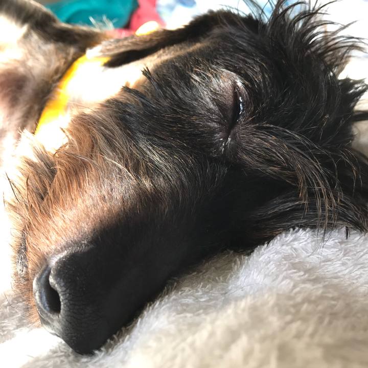 6cc2f9e1 5110 47f6 b90d ebb115ccdd3c 1541212756745