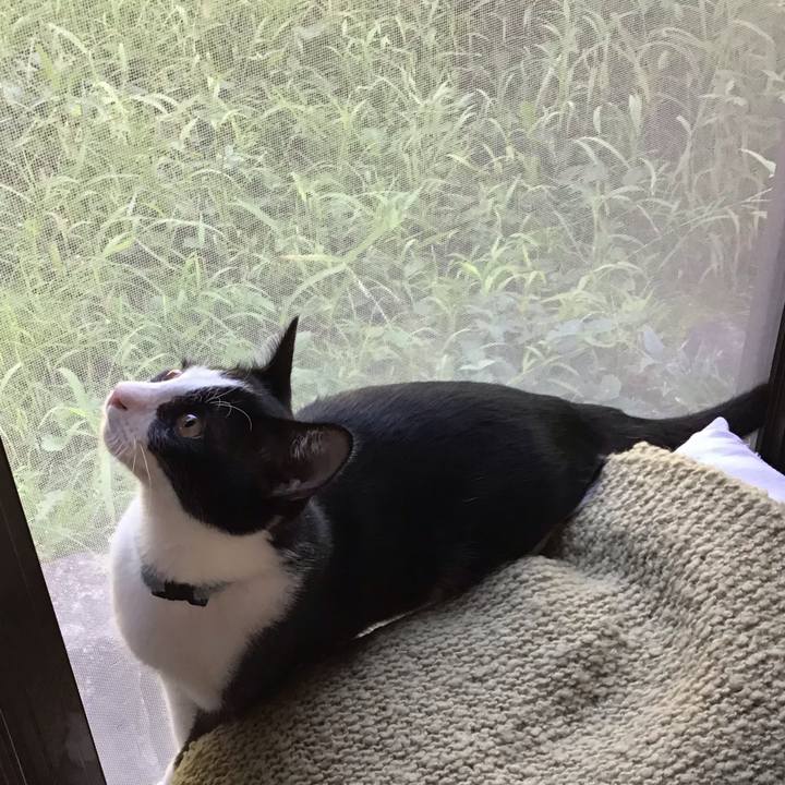 6cc2ff24 9d20 4a57 8666 a4a250740519 1632036393976