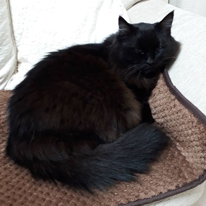 6cc339a5 0b22 4c38 a258 349d5d64e0ea 1518126799314