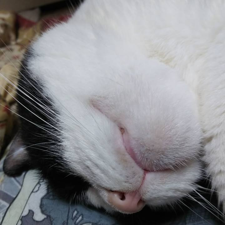 6cc347e8 18d8 4291 b791 7c49a1f084dd 1568444523222