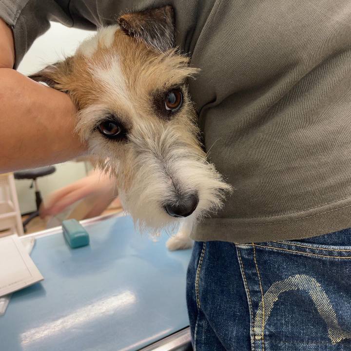 6cc36d19 9034 44d9 ae25 cc8fd0e21ee7 1661781583084