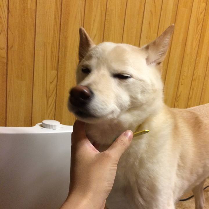 6cc3edc7 8577 47d2 8089 3deecb90936c 1546769640554