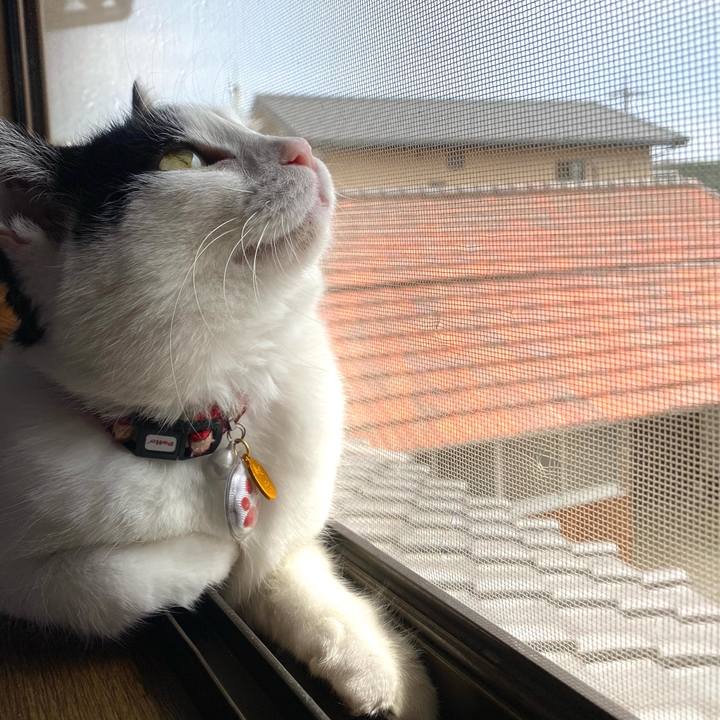 6cc4091a 10d5 4daf 9f29 f0206a4ea0f3 1647255642274