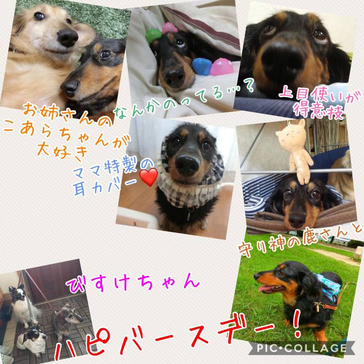 6cc455ad 320a 4174 8e24 8681ac198aaf 1514153968161