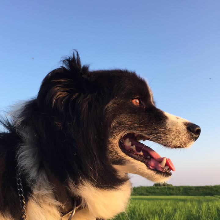 6cc4d96f 1448 4bae a2f5 845e9d9b6aa3 1564869761314