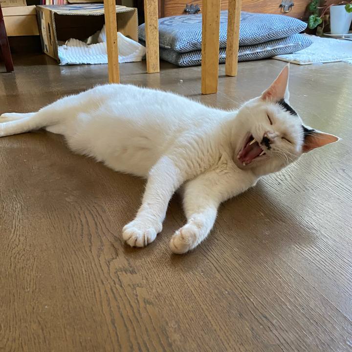 6cc4f3e5 d556 4970 b6f1 beb61da124f7 1660050024090